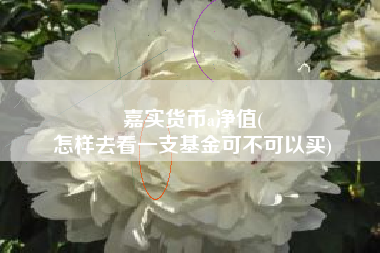 嘉实货币a净值(
怎样去看一支基金可不可以买)