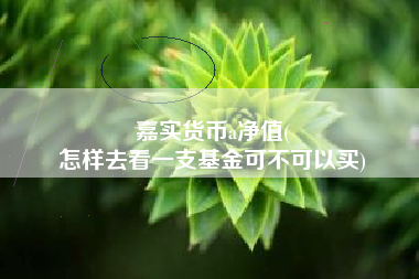 嘉实货币a净值(
怎样去看一支基金可不可以买)