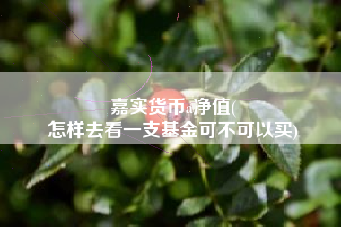 嘉实货币a净值(
怎样去看一支基金可不可以买)