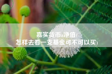 嘉实货币a净值(
怎样去看一支基金可不可以买)