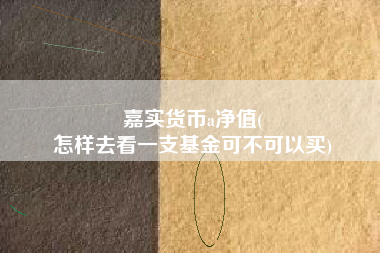 嘉实货币a净值(
怎样去看一支基金可不可以买)