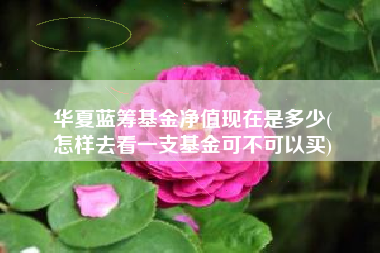 华夏蓝筹基金净值现在是多少(
怎样去看一支基金可不可以买)