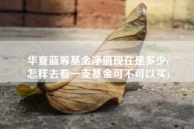 华夏蓝筹基金净值现在是多少(
怎样去看一支基金可不可以买)