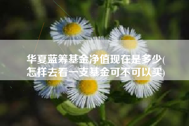 华夏蓝筹基金净值现在是多少(
怎样去看一支基金可不可以买)