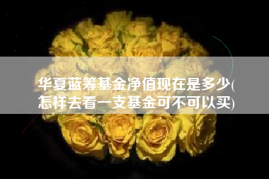 华夏蓝筹基金净值现在是多少(
怎样去看一支基金可不可以买)