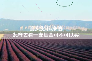 嘉实货币a净值(
怎样去看一支基金可不可以买)