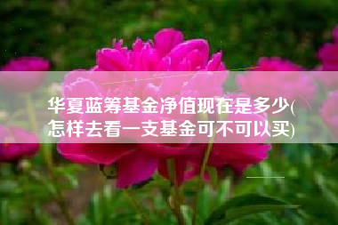 华夏蓝筹基金净值现在是多少(
怎样去看一支基金可不可以买)