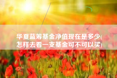 华夏蓝筹基金净值现在是多少(
怎样去看一支基金可不可以买)