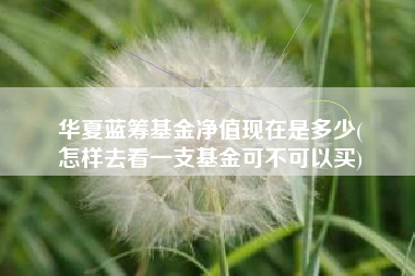 华夏蓝筹基金净值现在是多少(
怎样去看一支基金可不可以买)