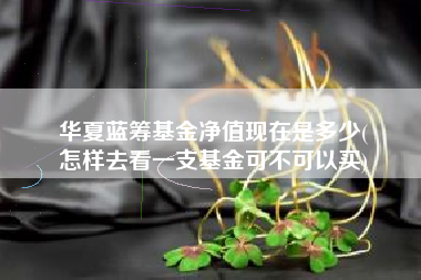 华夏蓝筹基金净值现在是多少(
怎样去看一支基金可不可以买)