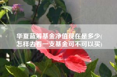 华夏蓝筹基金净值现在是多少(
怎样去看一支基金可不可以买)