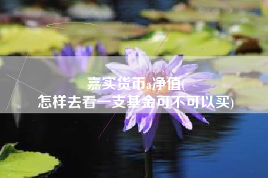 嘉实货币a净值(
怎样去看一支基金可不可以买)