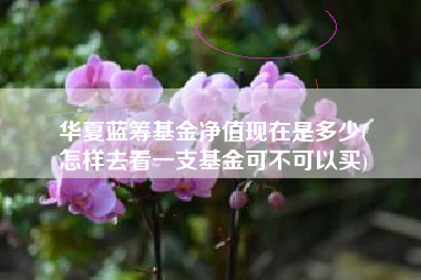 华夏蓝筹基金净值现在是多少(
怎样去看一支基金可不可以买)