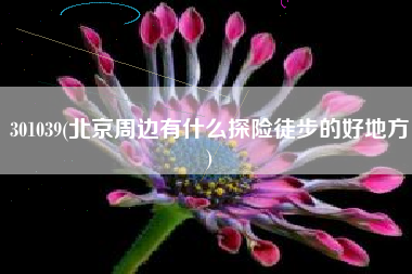 301039(北京周边有什么探险徒步的好地方)