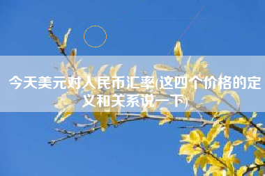 今天美元对人民币汇率(这四个价格的定义和关系说一下)
