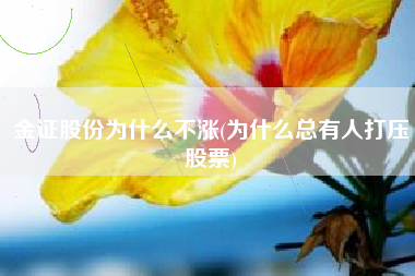 金证股份为什么不涨(为什么总有人打压股票)
