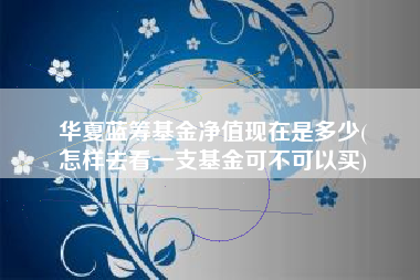 华夏蓝筹基金净值现在是多少(
怎样去看一支基金可不可以买)