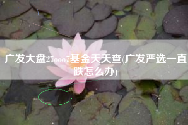 广发大盘27ooo7基金天天查(广发严选一直跌怎么办)
