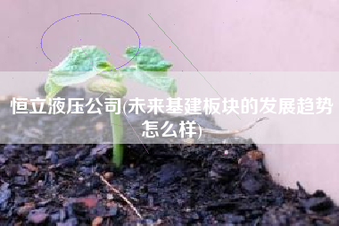 恒立液压公司(未来基建板块的发展趋势怎么样)
