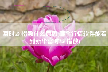 富时a50指数什么意思(哪个行情软件能看到新华富时A50指数)