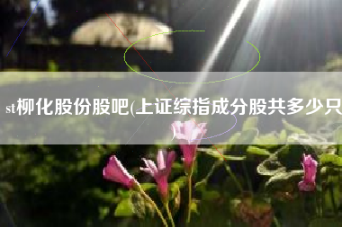 st柳化股份股吧(上证综指成分股共多少只)