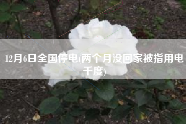 12月6日全国停电(两个月没回家被指用电千度)