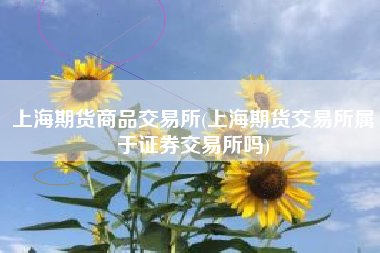 上海期货商品交易所(上海期货交易所属于证券交易所吗)