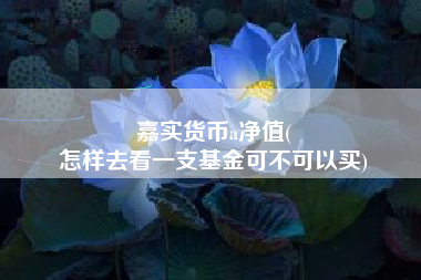 嘉实货币a净值(
怎样去看一支基金可不可以买)