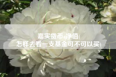 嘉实货币a净值(
怎样去看一支基金可不可以买)