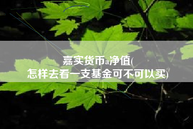 嘉实货币a净值(
怎样去看一支基金可不可以买)