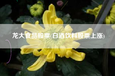 龙大食品股票(白酒饮料股票上涨)