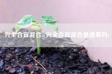 兴全合宜混合a(兴全合宜混合是港基吗)