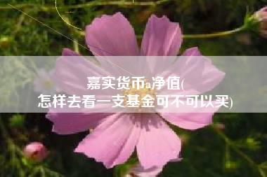 嘉实货币a净值(
怎样去看一支基金可不可以买)