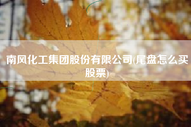 南风化工集团股份有限公司(尾盘怎么买股票)