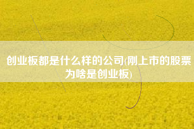 创业板都是什么样的公司(刚上市的股票为啥是创业板)