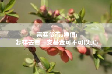 嘉实货币a净值(
怎样去看一支基金可不可以买)