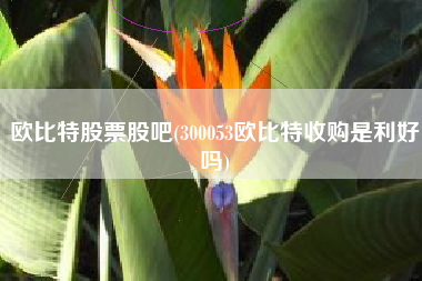 欧比特股票股吧(300053欧比特收购是利好吗)