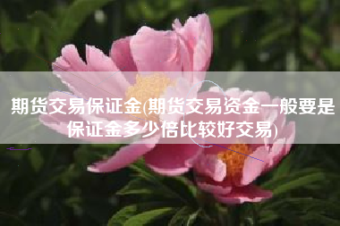 期货交易保证金(期货交易资金一般要是保证金多少倍比较好交易)