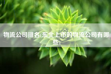 物流公司排名(东北上市的物流公司有哪些)