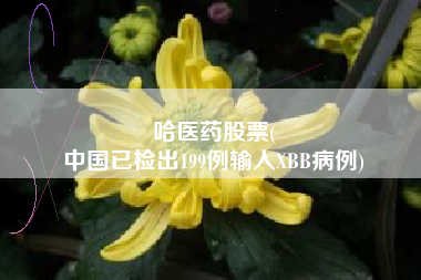 哈医药股票(
中国已检出199例输入XBB病例)