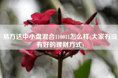 易方达中小盘混合110011怎么样(大家有没有好的理财方式)