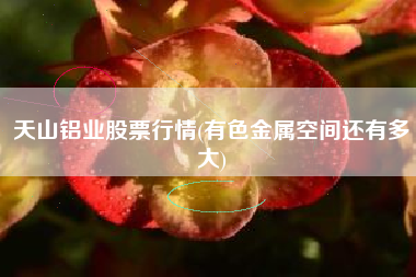 天山铝业股票行情(有色金属空间还有多大)