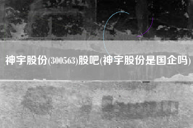 神宇股份(300563)股吧(神宇股份是国企吗)