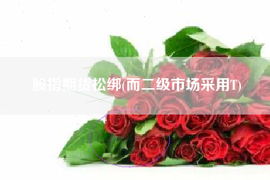 股指期货松绑(而二级市场采用T)