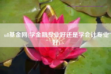 u8基金网(学金融专业好还是学会计专业好)