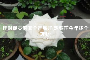 理财保本的哪个产品好(想要在今年找个理财)