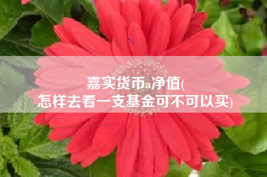 嘉实货币a净值(
怎样去看一支基金可不可以买)