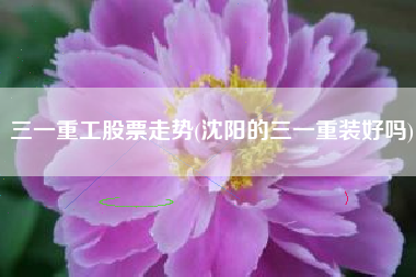 三一重工股票走势(沈阳的三一重装好吗)