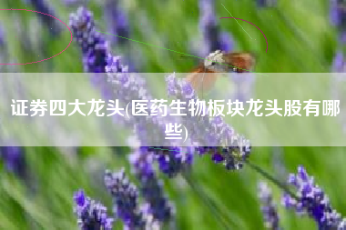 证券四大龙头(医药生物板块龙头股有哪些)