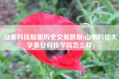 安泰科技股票历史交易数据(山东科技大学泰安科技学院怎么样)